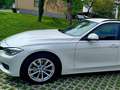 BMW 320 BMW 3er-Reihe 320d touring f31 2.0 184ps xdrive Weiß - thumbnail 2