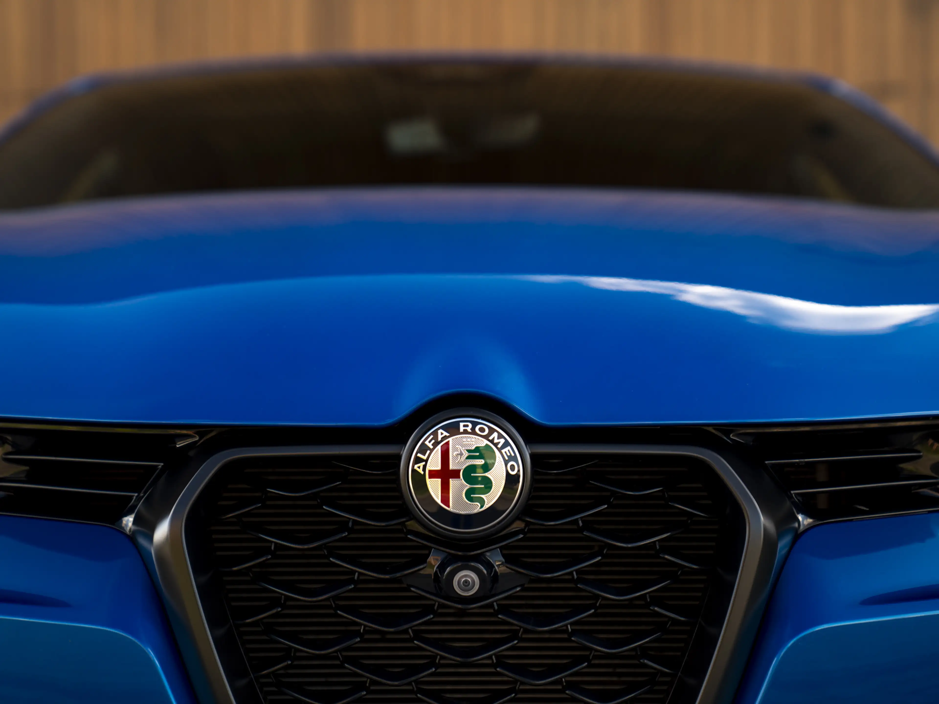 Alfa Romeo Tonale 280pk PHEV Veloce — photo 18
