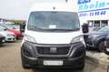 Fiat Ducato 2.2 L3H2 Klima Bluetooth PDC LAGER! Weiß - thumbnail 2