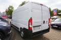 Fiat Ducato 2.2 L3H2 Klima Bluetooth PDC LAGER! Weiß - thumbnail 5