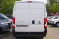 Fiat Ducato 2.2 L3H2 Klima Bluetooth PDC LAGER! Weiß - thumbnail 6