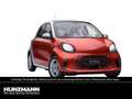 smart forFour EQ  passion Plus 22kW Panorama Kamera Rot - thumbnail 7