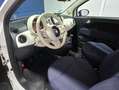 Fiat 500 Cult 1.0 Hybrid 51KW (70 CV) Blanco - thumbnail 8