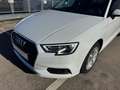 Audi A3 2.0 TDI S tronic NAVI/XENON/KAMERA/ALU/ACC Blanc - thumbnail 8