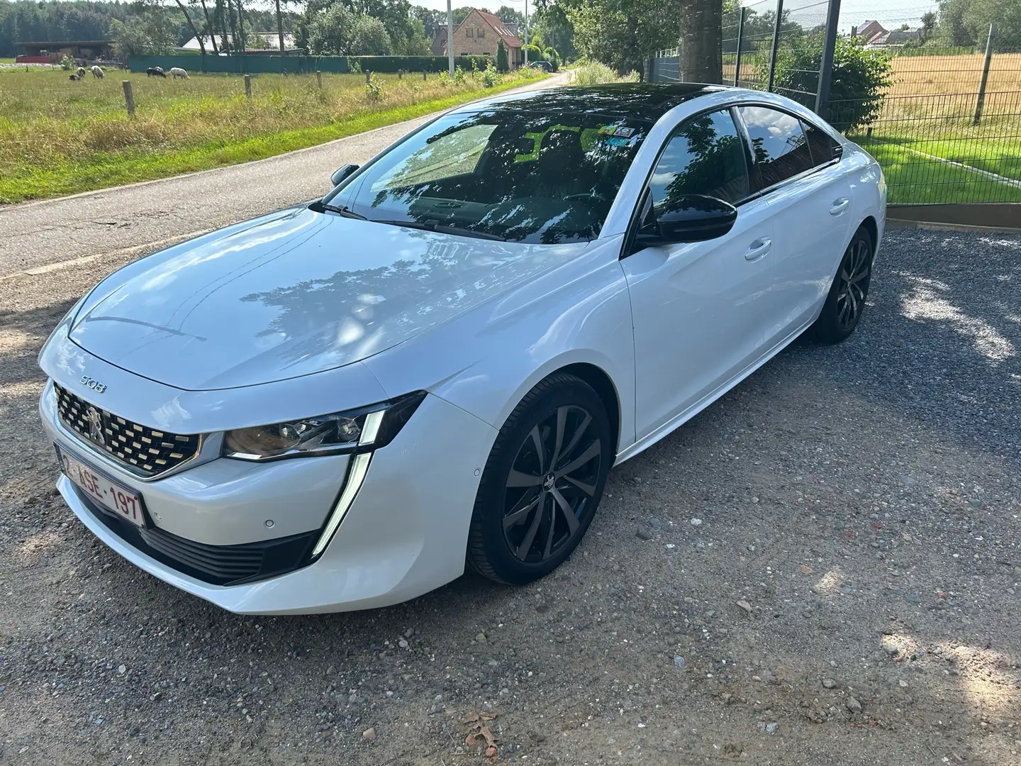 Peugeot 508 508 BlueHDi 180 EAT8 GT Wit - 1