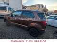 Ford EcoSport Titanium Braun - thumbnail 6