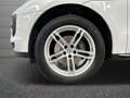 Porsche Macan 2.0 Bianco - thumbnail 17
