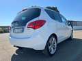 Opel Meriva Meriva 1.7 CDTi Cosmo b-Color 110cv Bianco - thumbnail 4