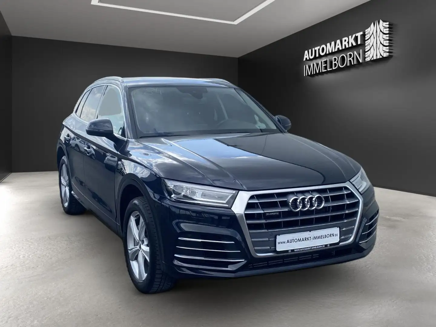 Audi Q5 e quattr S Line Sport Kamera*Xen*Sound*DAB*19 Blau - 2