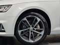 Audi A4 Avant 40 TDI quattro sport*DSG*LED*PANO-SD* Blanc - thumbnail 11