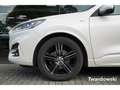 Ford Kuga ST-Line 1.5 Kamera AHK AppLink ACC Xenon Blanc - thumbnail 7