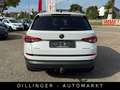 Skoda Kodiaq 2.0 TDI DSG Ambition AHK Leder Navi Temp. Bianco - thumbnail 6