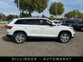 Skoda Kodiaq 2.0 TDI DSG Ambition AHK Leder Navi Temp. Bianco - thumbnail 9