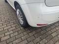 Fiat Punto MYSTYLE Alb - thumbnail 10