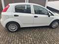 Fiat Punto MYSTYLE Alb - thumbnail 4