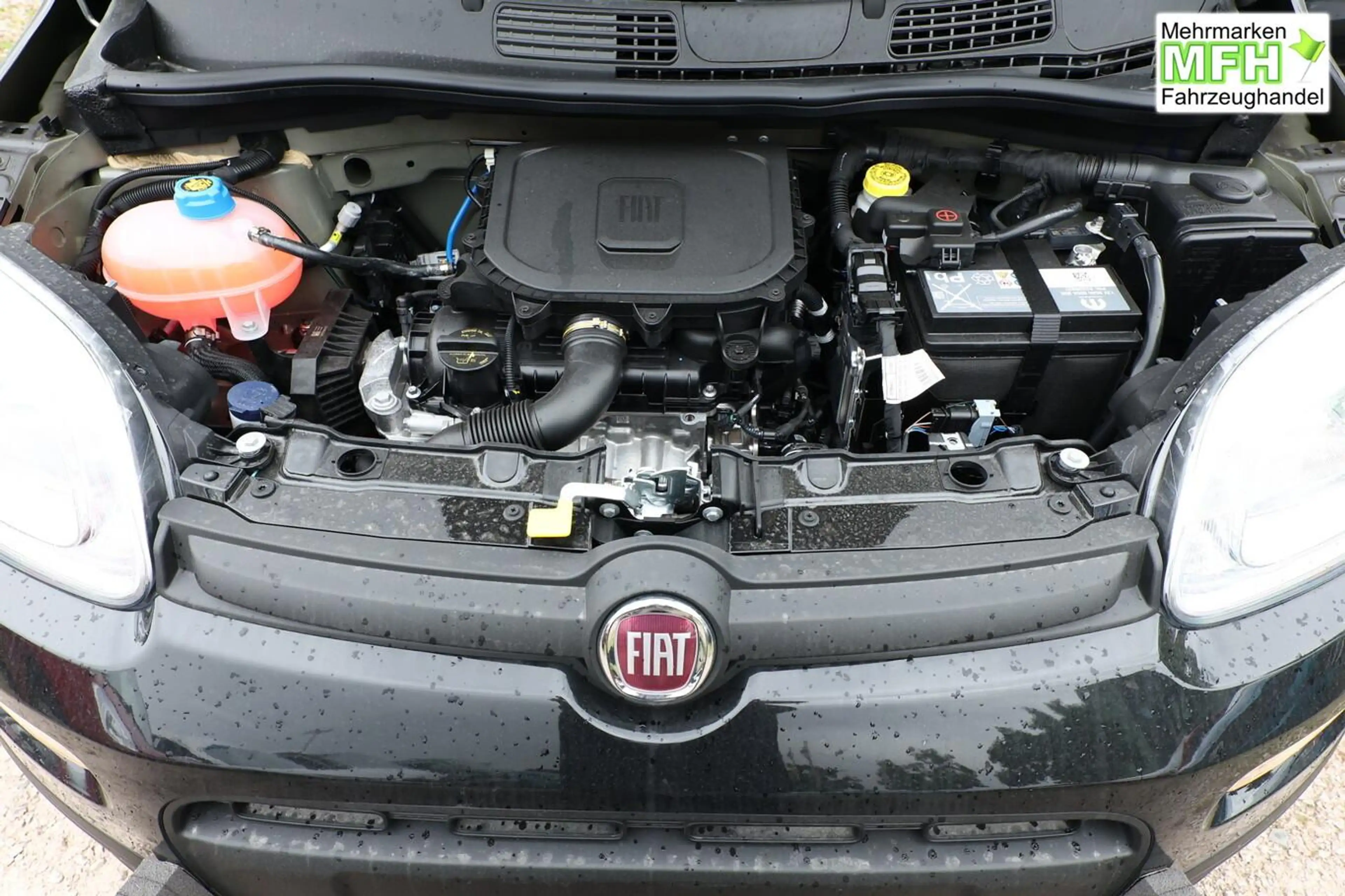 Fiat Panda ICON 5S PDC 5"-DAB DigC Temp LaneA S&S BT 48 kW... — photo 11