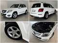 Mercedes-Benz GLK 220 CDI BlueEfficiency 4Matic|PANO|BI-XENON| Blanc - thumbnail 10