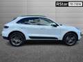 Porsche Macan 2.0 245cv pdk Bianco - thumbnail 5
