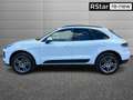Porsche Macan 2.0 245cv pdk Bianco - thumbnail 6