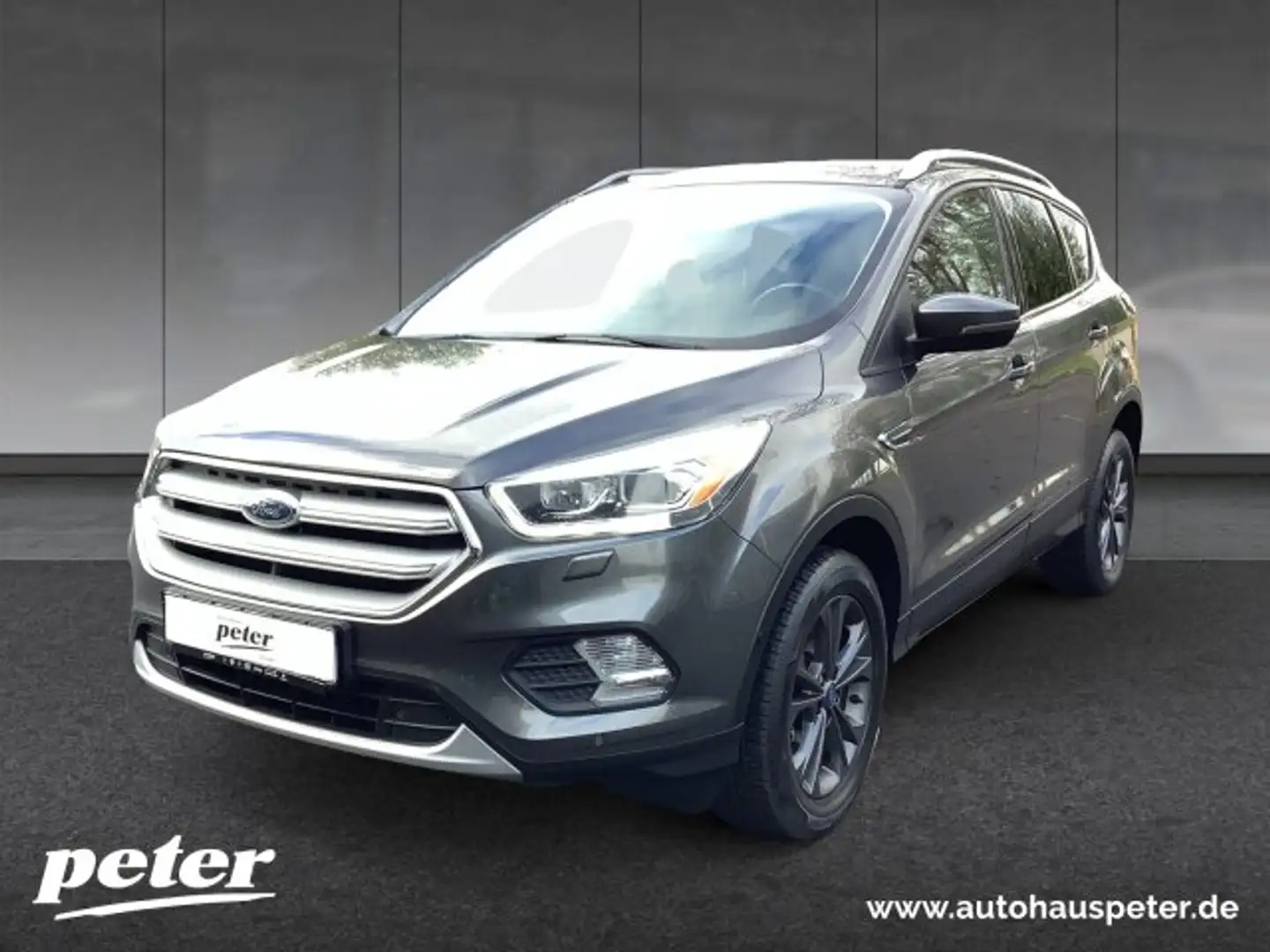 Ford Kuga Kuga 1.5 EcoBoost Titanium Klimaautomatik Sitzheizung Gris - 1