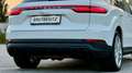 Porsche Cayenne III E-Hybrid *TOP-Ausstattung +1 Besitz Head Up P Weiß - thumbnail 10