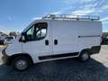Opel MOVANO L1H1 2 x Schiebetür/Dachträger/Klima - thumbnail 6
