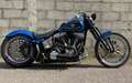 Harley-Davidson Softail Custom SPECIAL - thumbnail 1