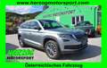 Skoda Kodiaq Kodiaq 2,0TDI 4x4 Style DSG MATRIX AHV T-LEDER 1.B Grau - thumbnail 1