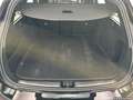 Mercedes-Benz C 220 d T AMG Line Anhängevorrichtung DISTRONIC Schwarz - thumbnail 6