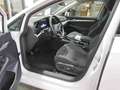 Volkswagen Golf 8 VIII 1.5 TSI Life LED+/Stand/H+K/AHK/DCC Weiß - thumbnail 3