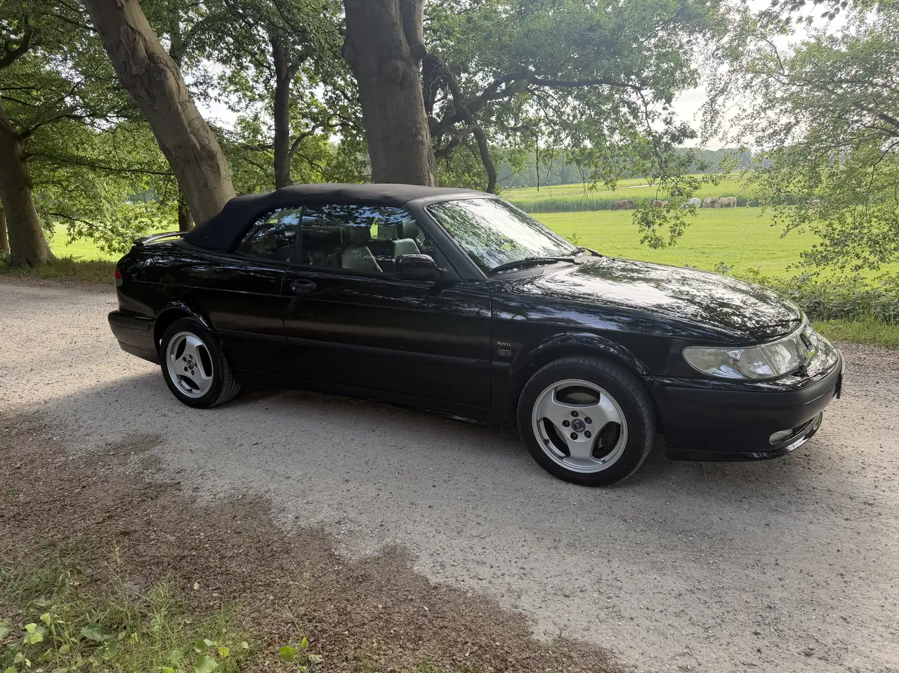 Saab 9-3 2.0 Turbo SE Aero, foto 11