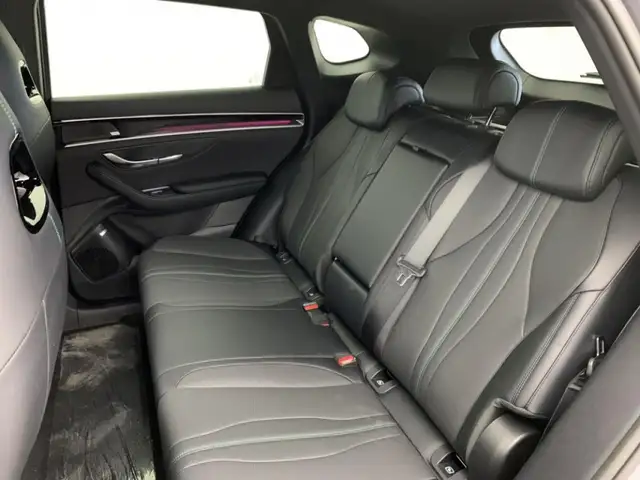 BYD Seal U view 7