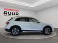 Audi Q5 S line (Matrix-LED.AHK.NAVI.SHZ.PDC.DAB.GRA) 40 TD Weiß - thumbnail 5