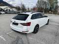 Skoda Superb Superb Kombi 2,0 TDI Sportline DSG Sportline Weiß - thumbnail 3