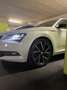 Skoda Superb Superb Kombi 2,0 TDI Sportline DSG Sportline Weiß - thumbnail 9