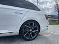Skoda Superb Superb Kombi 2,0 TDI Sportline DSG Sportline Weiß - thumbnail 7
