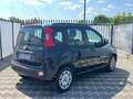Fiat Panda Panda 1.2 Easy 69cv E6 Nero - thumbnail 5