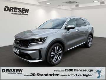 1.6 T-GDI PLATINUM PHEV AWD 7 Sitzer