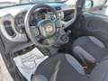Fiat Panda 1.0 Gse 70cv City Cross Blanco - thumbnail 26