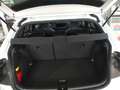 Volkswagen Polo 2.0 TSI GTI DSG NAVI 18" Beats RearView Weiß - thumbnail 8