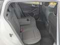 Ford Focus Sportbreak 1.5Ecoblue Titanium Blanc - thumbnail 10