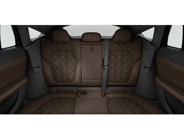 BMW X6 view 6