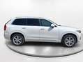 Volvo XC90 T8 Twin Business Plus AWD Aut. Blanco - thumbnail 21