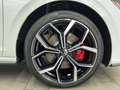 Volkswagen Polo GTI 2.0TSI *5J.Gar*IQ.Drive*Navi*SR+WR*Klim Weiß - thumbnail 8
