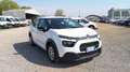 Citroen C3 BlueHDi 100 S&S Business Combi 4 Posti N1 Bianco - thumbnail 4