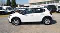 Citroen C3 BlueHDi 100 S&S Business Combi 4 Posti N1 Bianco - thumbnail 9