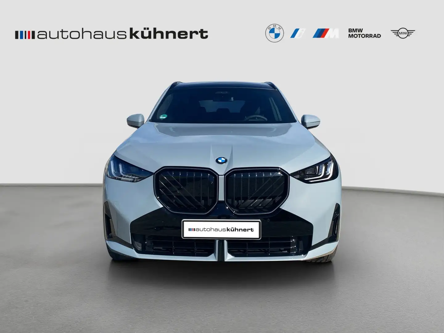 BMW X3 20d xDrive ///M-Sport PRO ACC AHK SHZ LED Grau - 2