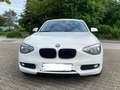 BMW 114 114i Urban Line Weiß - thumbnail 7