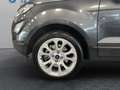 Ford EcoSport 1,0 EcoBoost Titanium Grau - thumbnail 8