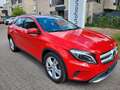 Mercedes-Benz GLA 200 GLA -Klasse Rojo - thumbnail 5